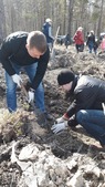 Всероссийский день посадки леса в Тюмени